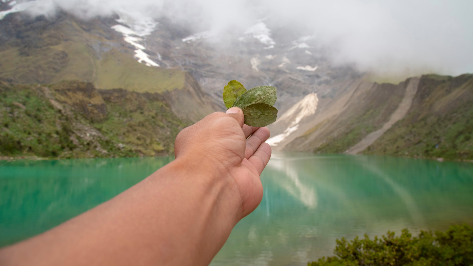 Hand holding coca leaves as an offering to a sacred Andean lagoon with mountain and water reflections.