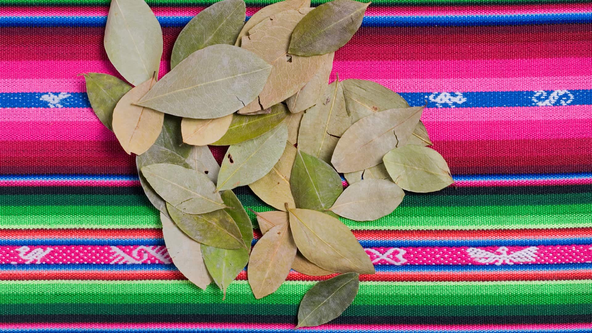 Coca leaves arranged on a colorful Andean textile, symbolizing cultural heritage and traditional practices.