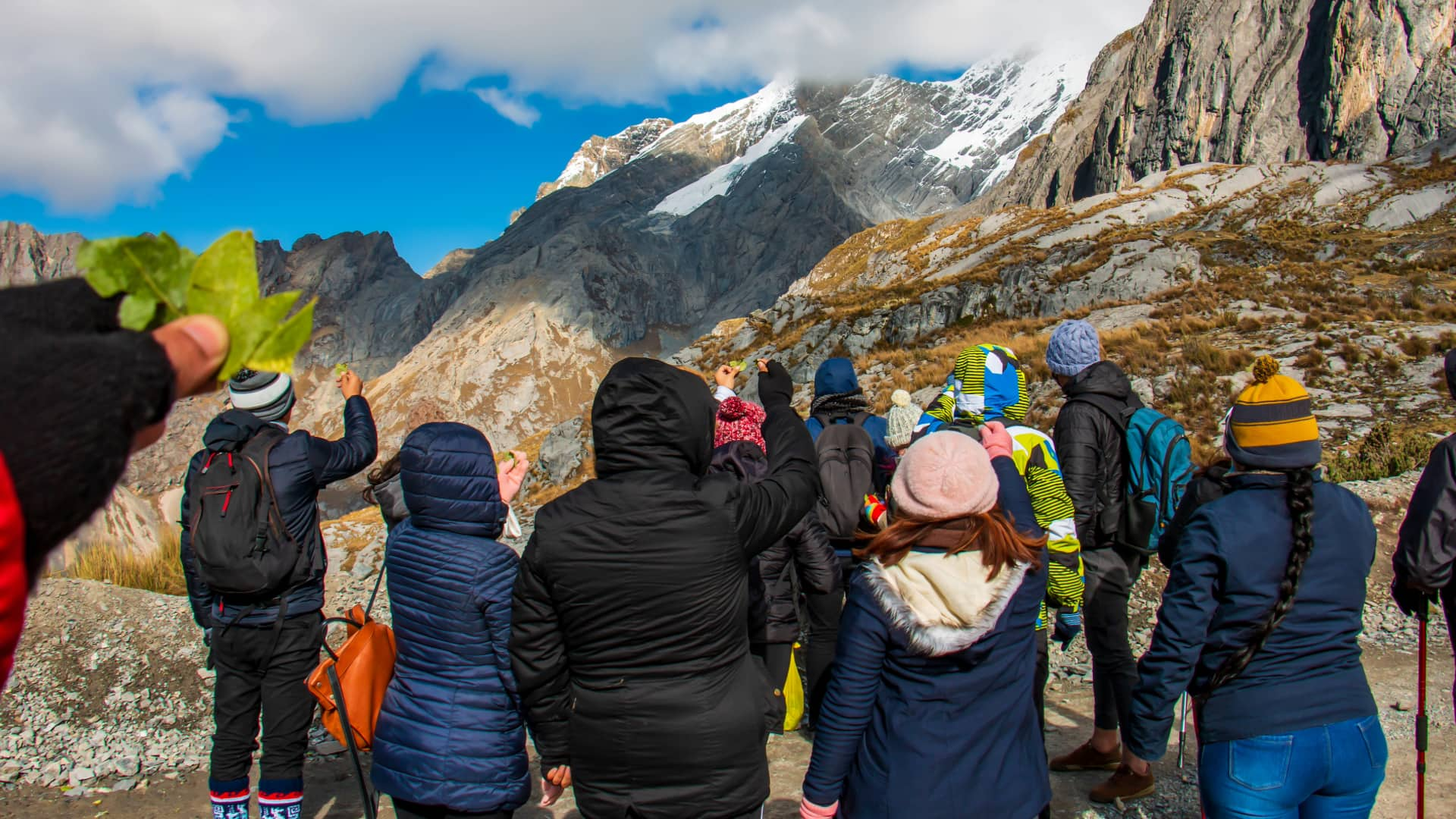 Group of people holding coca leaves in an offering ritual to the Andean mountains, symbolizing respect and cultural connection.