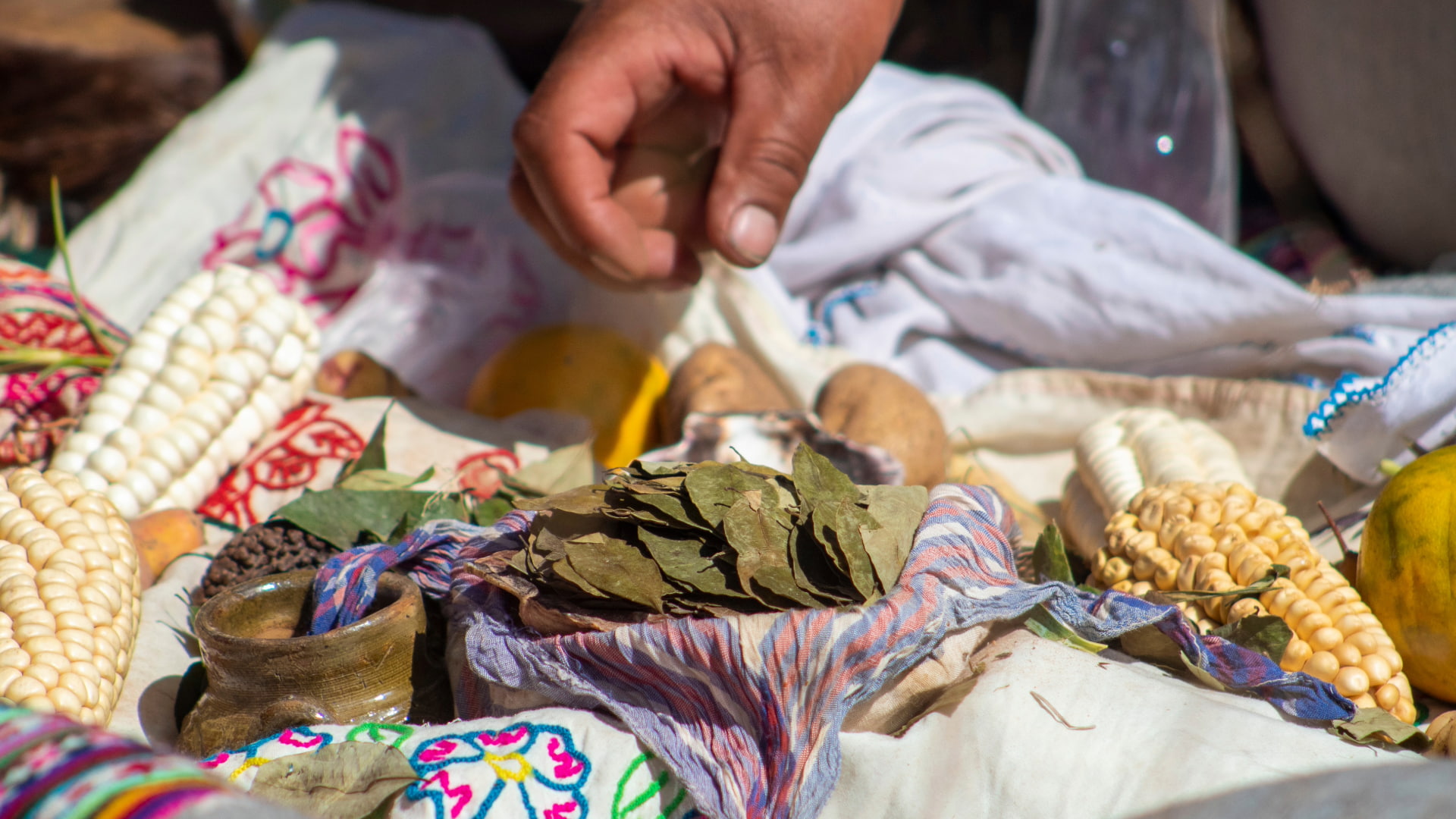 Hand arranging coca leaves, corn, and local produce in a traditional Andean offering ritual.