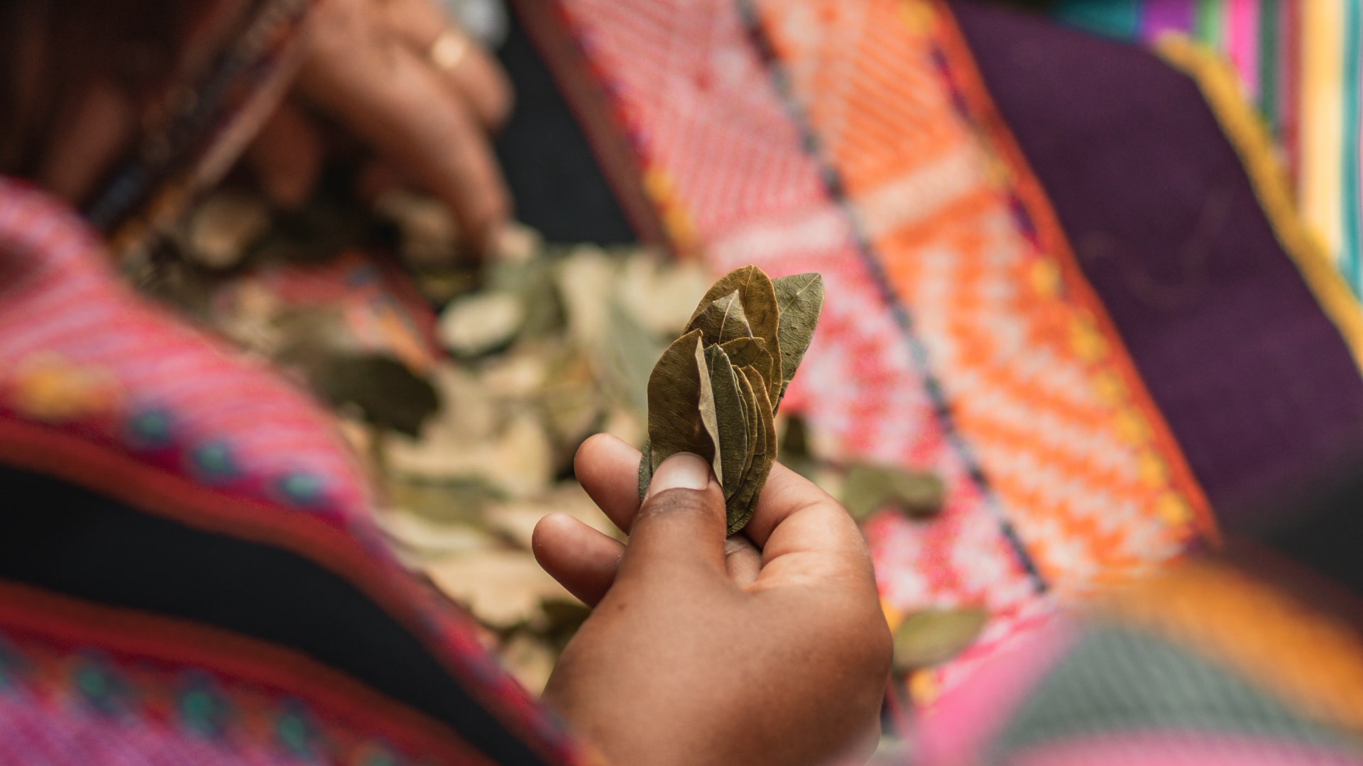 Manos sosteniendo hojas de coca en una ceremonia tradicional andina sobre un textil colorido.