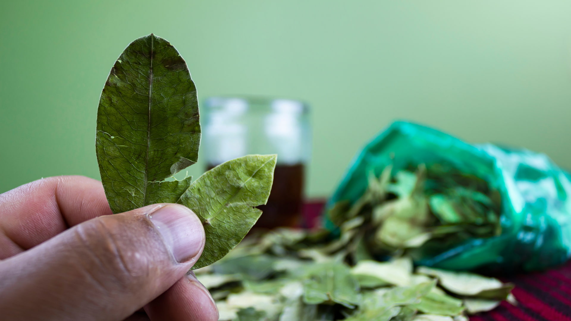 Hand holding two coca leaves, with a green bag filled with more leaves and a glass in the background, symbolizing traditional Andean practices and cultural significance.